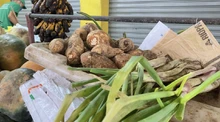 Discovery Channel y su nuevo programa "Cosechando Sabores" llega a la galería Alameda