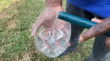 Alcaldía entregó planta de tratamiento de agua potable en el corregimiento de El Hormiguero