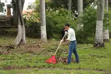 Jornada de embellecimiento y limpieza en espacio donde se construirá el Parque Tecnológico San Fernando