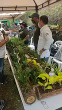 Camina San Antonio, una jornada llena de magia 
