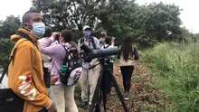 Cali actualiza su censo urbano de aves  