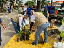 Control al arrojo clandestino de residuos en vía publica  