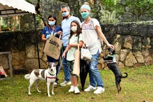 Inician en Cali brigadas de salud y bienestar para animales de compañía