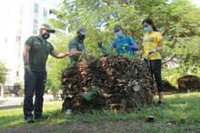 Llega ‘Flora en tu Comuna’ para continuar embelleciendo a Cali