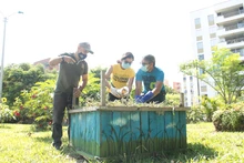 Llega ‘Flora en tu Comuna’ para continuar embelleciendo a Cali