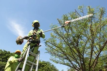 Llega ‘Flora en tu Comuna’ para continuar embelleciendo a Cali