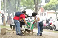 Datic dejó limpio y bonito el Parque Colseguros Andes