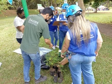 Las mujeres se tomaron el Parque de El Ingenio para sembrar vida