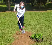 Las mujeres se tomaron el Parque de El Ingenio para sembrar vida