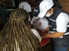 18 familias desplazadas por la violencia recibieron apoyo por parte de la Administración caleña