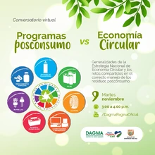 Conversatorio Virtual ‘Programas Posconsumo vs Economía Circular’