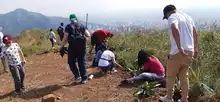 Dagma siembra de barreras cortafuego en Cristo Rey  