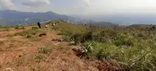 Dagma siembra de barreras cortafuego en Cristo Rey  