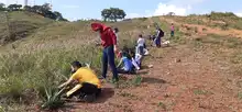 Dagma siembra de barreras cortafuego en Cristo Rey  