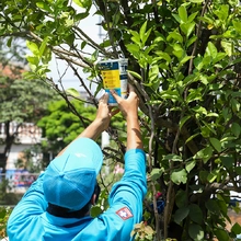 En el oriente de Cali se adelanta un nuevo método para prevenir el dengue