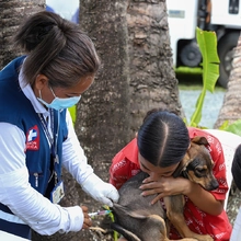 En el oriente de Cali se adelanta un nuevo método para prevenir el dengue