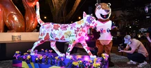 La ‘Gata Florecida Panamericana’ de Cali ya enamora al mundo
