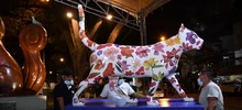 La ‘Gata Florecida Panamericana’ de Cali ya enamora al mundo
