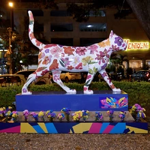 La ‘Gata Florecida Panamericana’ de Cali ya enamora al mundo