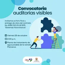 Convocatoria a Auditoría Visible en Flamenco