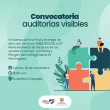 Convocatorias de Auditorías Visibles