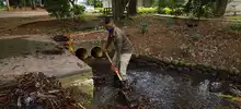 Dagma realiza mantenimiento a los humedales de la ciudad  