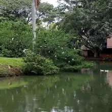 Dagma realiza mantenimiento a los humedales de la ciudad  