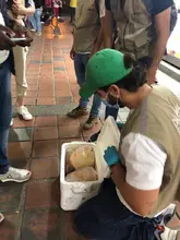 Con obra de teatro, Dagma concientiza sobre tráfico de fauna silvestre
