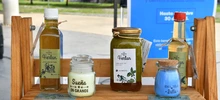 Encuentra todo lo que necesitas en la 3era Feria de Servicios Tributarios