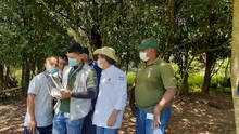 Articulan Acciones para la Restauración, Protección y  Conservación del Área Forestal Protectora