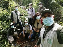 Articulan Acciones para la Restauración, Protección y  Conservación del Área Forestal Protectora