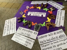 ¡Festivales sin violencias de género!