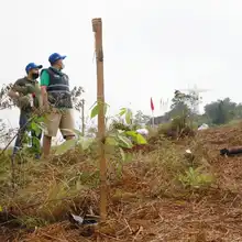Bosque panamericano se crea gracias a programa de compensaciones  