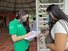 Alcaldía llega con brigadas de salud animal a los barrios de Cali