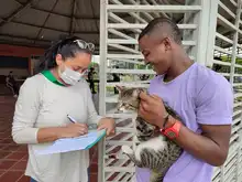 Alcaldía llega con brigadas de salud animal a los barrios de Cali