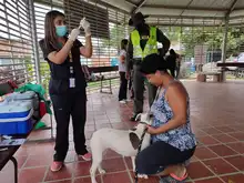 Alcaldía llega con brigadas de salud animal a los barrios de Cali