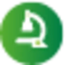 Asset 5