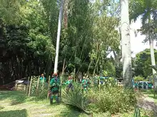 Flora en tu comuna   llegó al Bosque Urbano Guadual de la Guadalupe