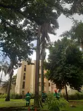 Flora en tu comuna   llegó al Bosque Urbano Guadual de la Guadalupe