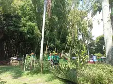 Flora en tu comuna   llegó al Bosque Urbano Guadual de la Guadalupe