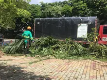 Flora en tu comuna   llegó al Bosque Urbano Guadual de la Guadalupe