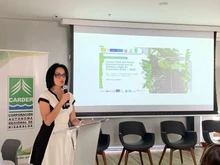 Reconocimiento para el Dagma en el Pacto intersectorial por la madera legal