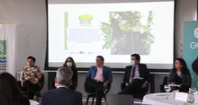 Reconocimiento para el Dagma en el Pacto intersectorial por la madera legal