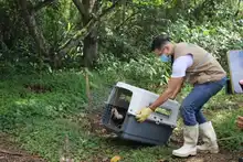 Nuevas liberaciones de fauna silvestre en Corazón de Pance  