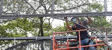 Desde este martes, Cali se alista para vivir y disfrutar su alumbrado navideño