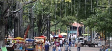 Desde este martes, Cali se alista para vivir y disfrutar su alumbrado navideño