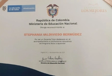 Reconocimiento nacional a iniciativa de docente caleña