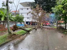 Consejo Municipal de Gestión del Riesgo activado frente a lluvias del fin de semana