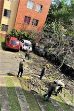 Dagma atiende emergencias arbóreas generadas por intensas lluvias