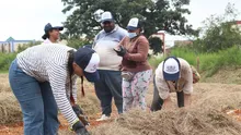 Recoges lo que siembras, proyectos que se construyen con la comunidad